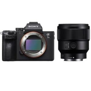 rent a mirrorless camera